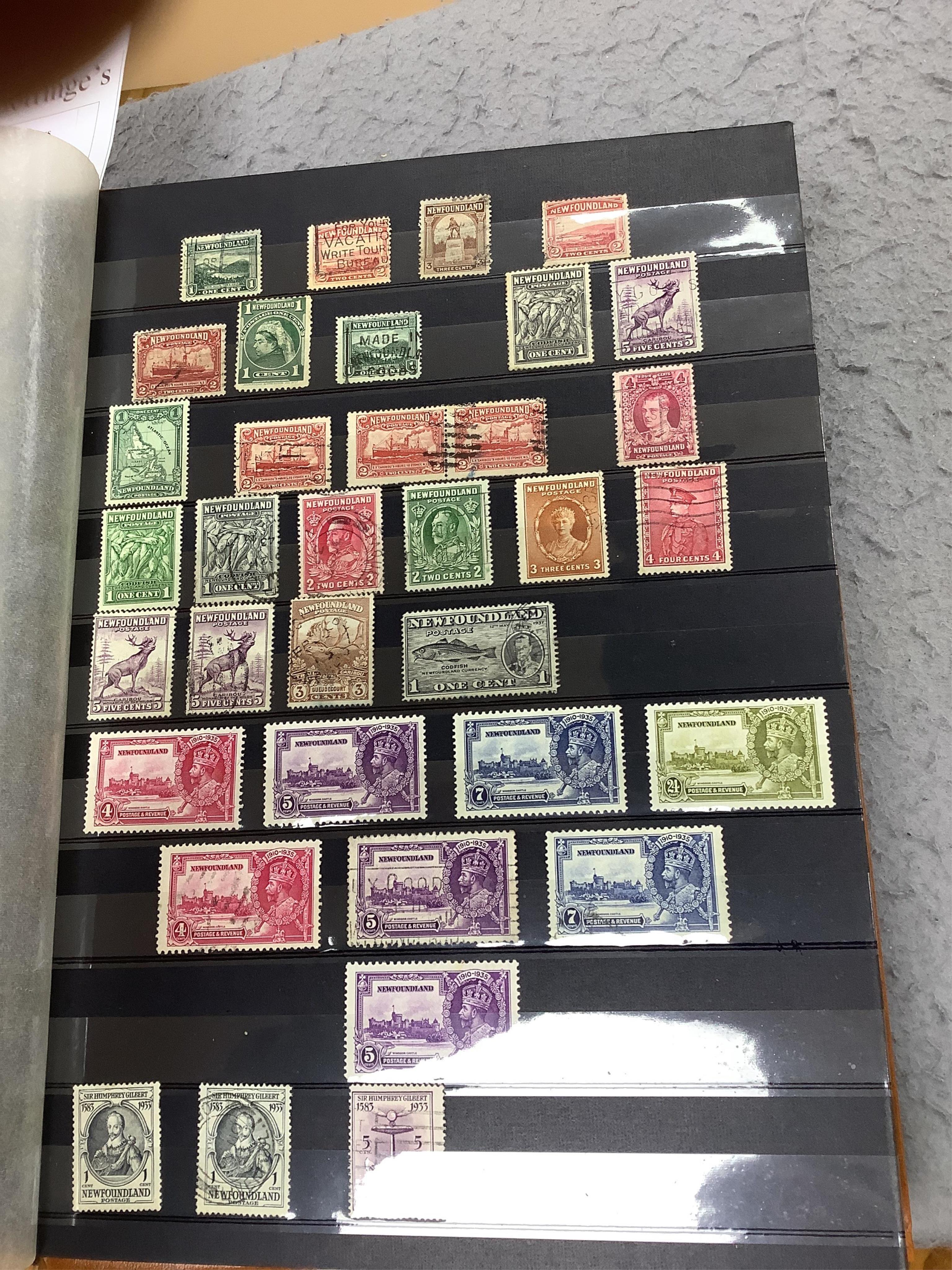 Four albums of stamps: Newfoundland, Jamaica etc (4). Condition - mostly stamp marked